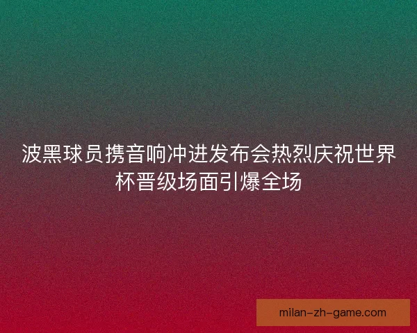 波黑球员携音响冲进发布会热烈庆祝世界杯晋级场面引爆全场