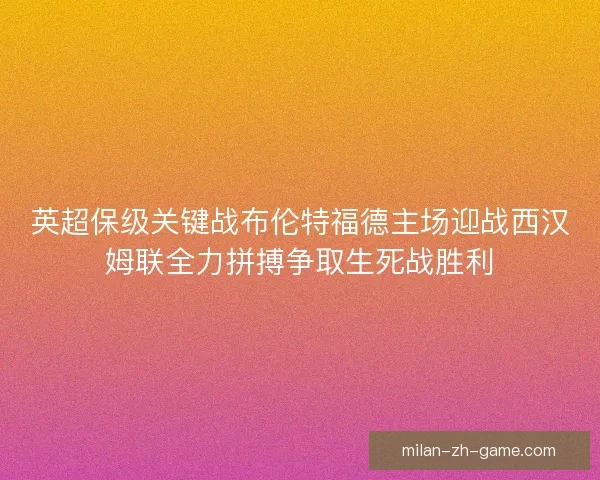英超保级关键战布伦特福德主场迎战西汉姆联全力拼搏争取生死战胜利